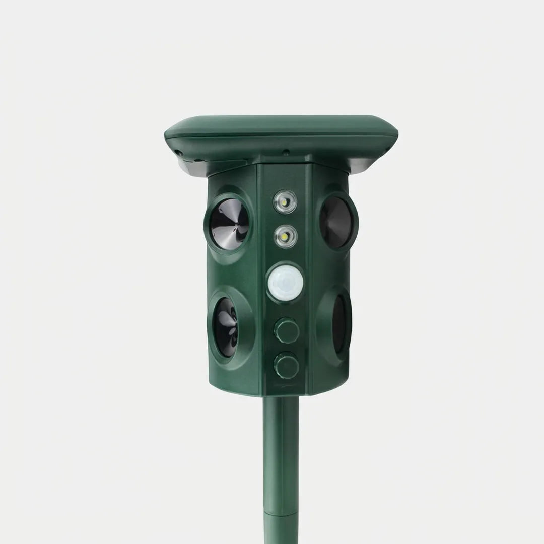 Répulsif chats chiens et animaux 360 expert pour extérieur